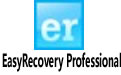 EasyRecovery Professional(Ӳݻָ)V11.1 רҵ