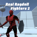 Real Ragdoll Fighters 2°