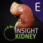 INSIGHT KIDNEY Enterprise