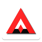Asset Auctions