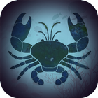 Sunset Fighting Crab