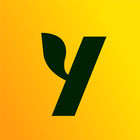Yuzu