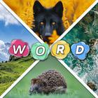 Guess 1 Word by 4 Pics Game