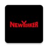 New Yorker