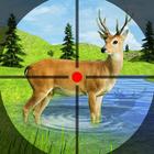 Deer Hunting Shooting Games
