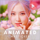 Rose Animated WASticker