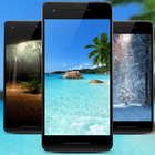 Wallpaper Gallery