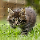Kittens Jigsaw Puzzles