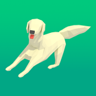 Agility 3D