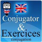 English Conjugation Practice