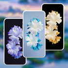 Tecno Phantom V Flip Wallpaper