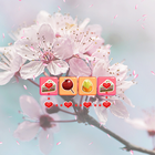 Sweet Connect