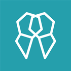 Dentiflow