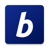 BitPay