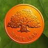 Swedbank