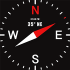 Compass Pro