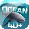 Ocean 4D+