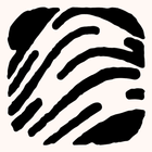Kin