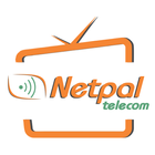 Netpal TV STB