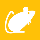 Rodent