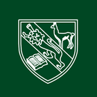 San Silvestre School