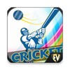 Cricket Dictionary