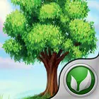 Apple Tree