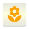 LiLy: Live Stream Game, Camera