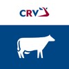 CRV Dier