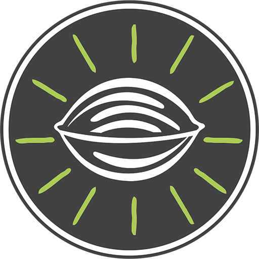 Walmiki