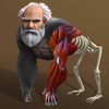 Idle Evolution From Cell To Human