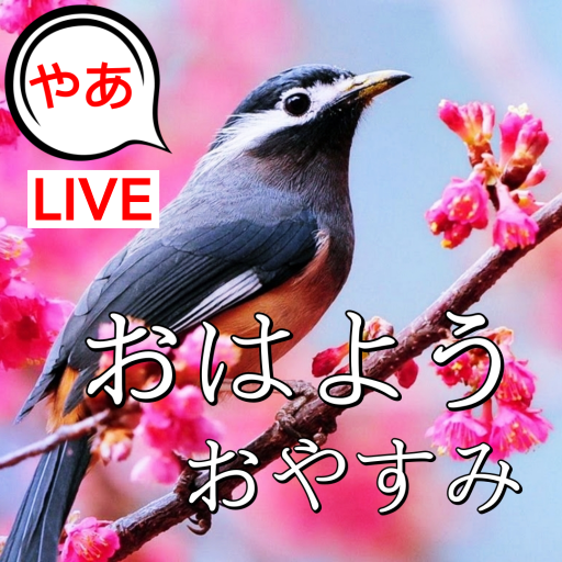 Japanese Good Morning to Night