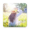 Spring Wallpaper
