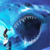 Shark Hunter 3D
